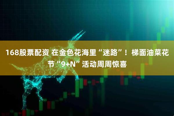 168股票配资 在金色花海里“迷路”！梯面油菜花节“9+N”活动周周惊喜